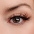 A Touch of Heaven Lash Style