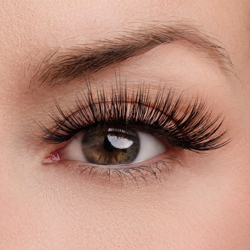 Above & Beyond Lash & Glue Bundle