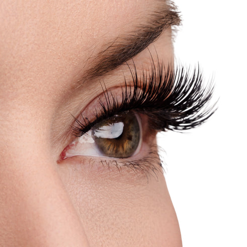 Above & Beyond Lash & Glue Bundle