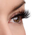 Above & Beyond Lash & Glue Bundle