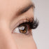 Against All Odds Lash Style