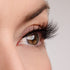 All the Right Moves Lash Style