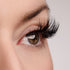 Center of Attention Lash & Glue Bundle