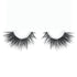 Center of Attention Lash Style