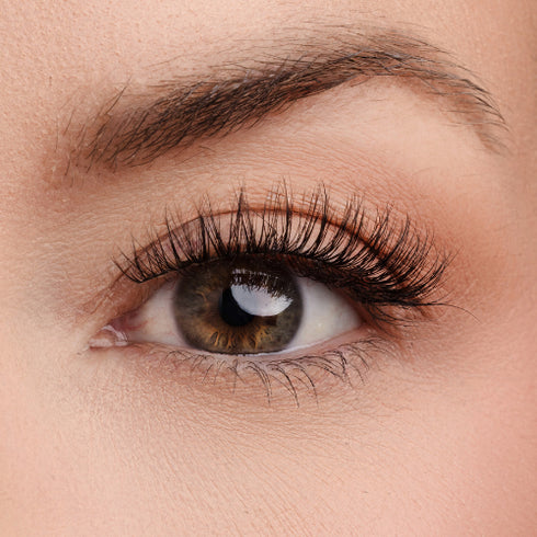 Class Act Lash Style
