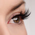 Heart of Gold Lash & Glue Bundle