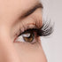High Definition Lash Style