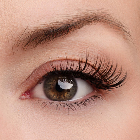 Hold That Thought Half Lash Style