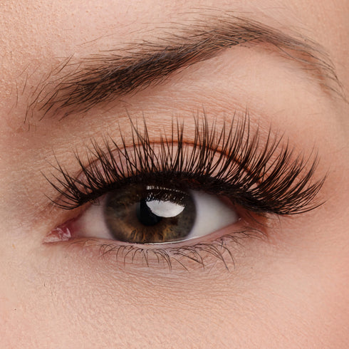 Hustle in Heels Lash & Glue Bundle