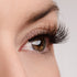 Hustle in Heels Lash & Glue Bundle