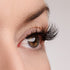 Isn't She Lovely? Lash & Glue Bundle