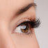 Made to Shine Lash Style