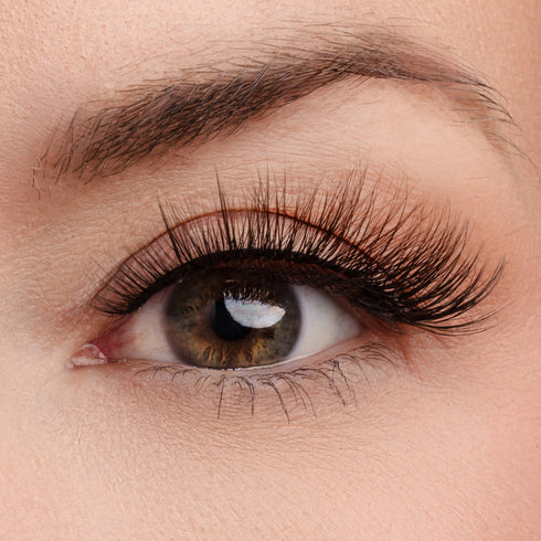 Making Moves Lash & Glue Bundle