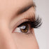 Making Moves Lash & Glue Bundle