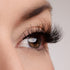 No Filter Needed Lash Style