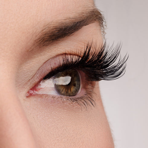 Original Inspo Lash & Glue Bundle
