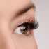 Pure Intentions Lash Style