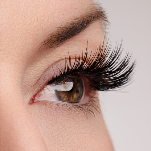 Role Model Lash & Glue Bundle