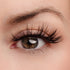 Timeless Beauty Lash Style