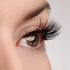Timeless Beauty Lash & Glue Bundle