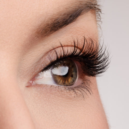 Unwritten Story Lash Style