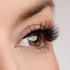 Unwritten Story Lash Style