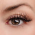 Wait for It... Lash Style