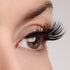 Wait For It… Lash & Glue Bundle