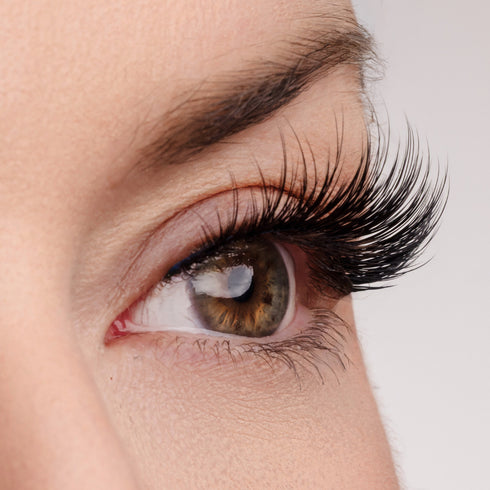 Woman of Worth (WOW!) Lash Style