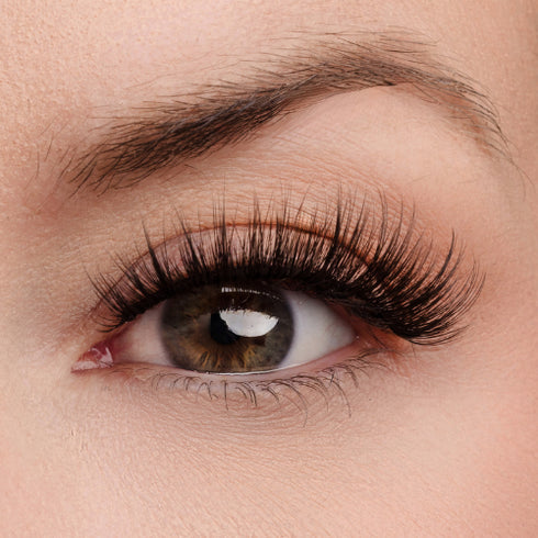 Work of Art Lash Style