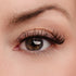 Everyday Beauty Lash Style
