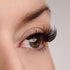 Everyday Beauty Lash Style